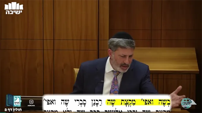 חולין דף פ'