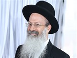 הרב אליעזר מלמד