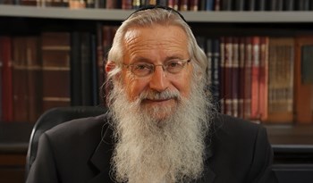 הרה"ג זלמן ברוך מלמד שליט"א