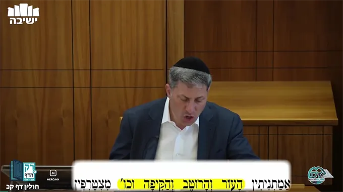 חולין דף ק"כ