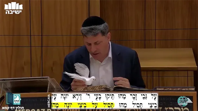 חולין דף קמ"א